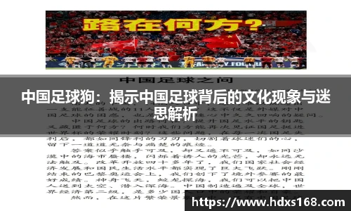 中国足球狗：揭示中国足球背后的文化现象与迷思解析
