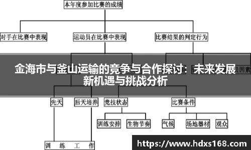 金海市与釜山运输的竞争与合作探讨：未来发展新机遇与挑战分析